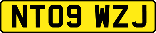 NT09WZJ