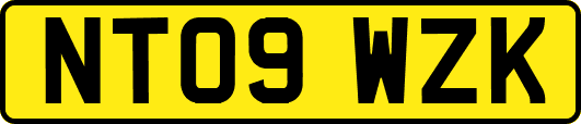 NT09WZK