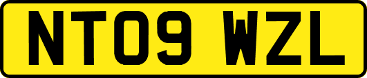 NT09WZL