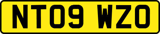 NT09WZO