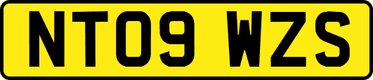 NT09WZS