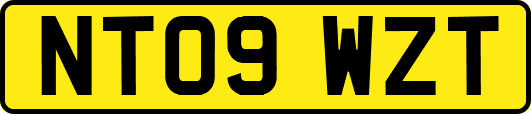 NT09WZT