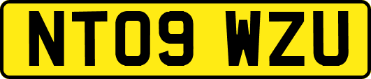 NT09WZU