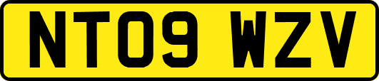 NT09WZV
