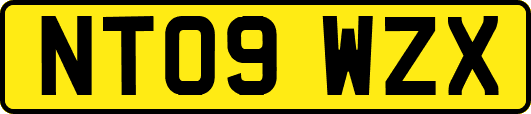 NT09WZX