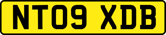 NT09XDB