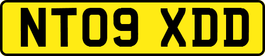 NT09XDD