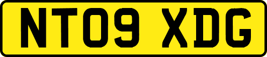 NT09XDG