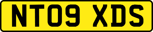NT09XDS