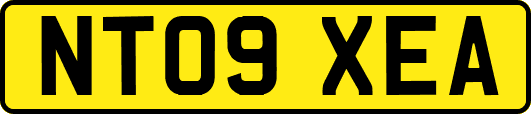 NT09XEA