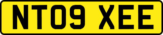 NT09XEE