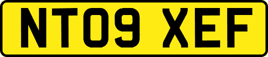 NT09XEF