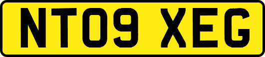 NT09XEG