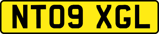 NT09XGL