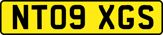 NT09XGS
