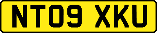 NT09XKU