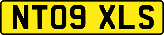 NT09XLS