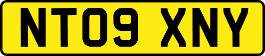 NT09XNY