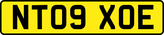 NT09XOE