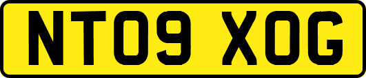 NT09XOG
