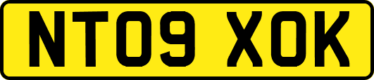 NT09XOK