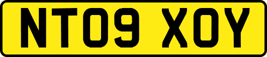 NT09XOY