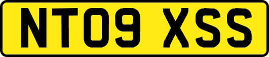NT09XSS