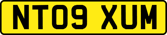 NT09XUM