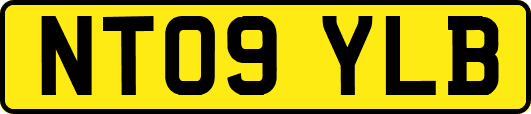 NT09YLB