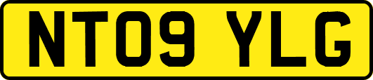 NT09YLG