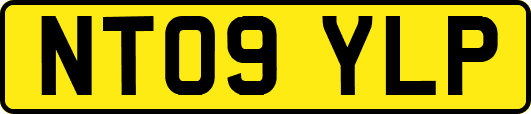 NT09YLP