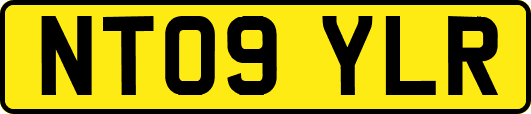 NT09YLR