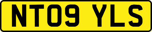 NT09YLS