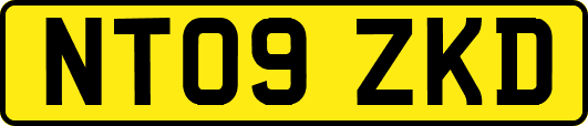 NT09ZKD