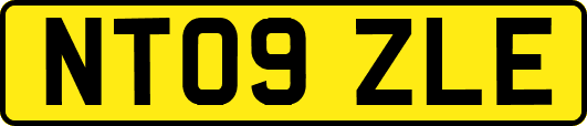 NT09ZLE