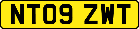 NT09ZWT