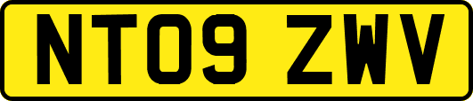 NT09ZWV