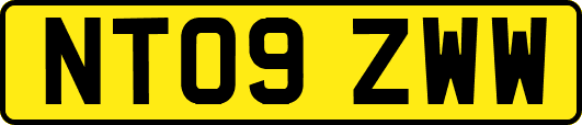NT09ZWW