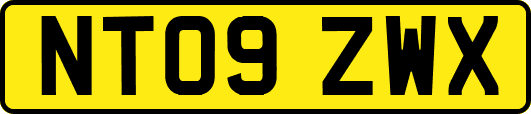 NT09ZWX