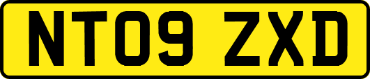 NT09ZXD