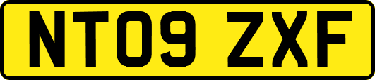 NT09ZXF