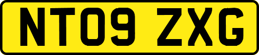 NT09ZXG