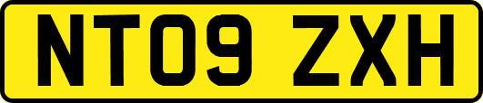 NT09ZXH