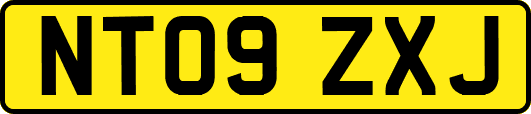 NT09ZXJ