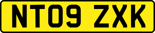 NT09ZXK