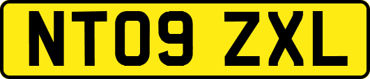 NT09ZXL