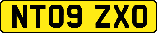 NT09ZXO