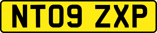 NT09ZXP