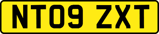 NT09ZXT