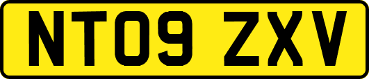 NT09ZXV